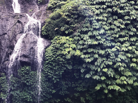 Bali Rent Tour-沙努尔必去景点