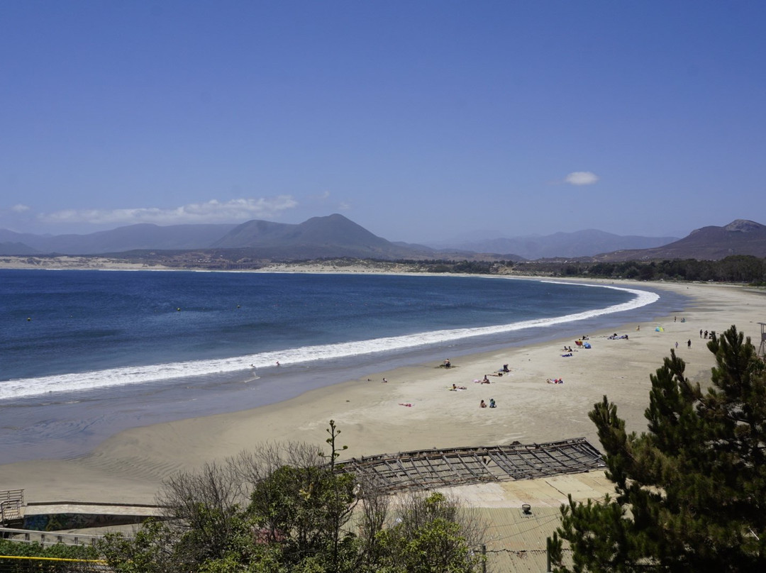 Playa de pichidangui景点图片