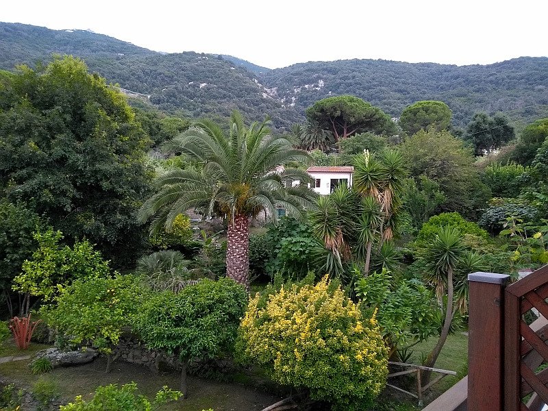 Hotel Cernia Isola Botanica-酒店景观
