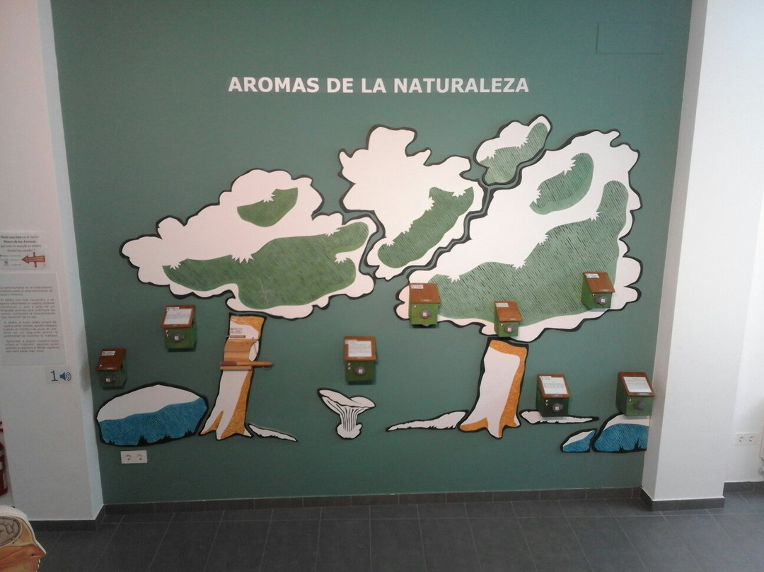 Museo de los Aromas-Santa Cruz de la Salceda必去景点