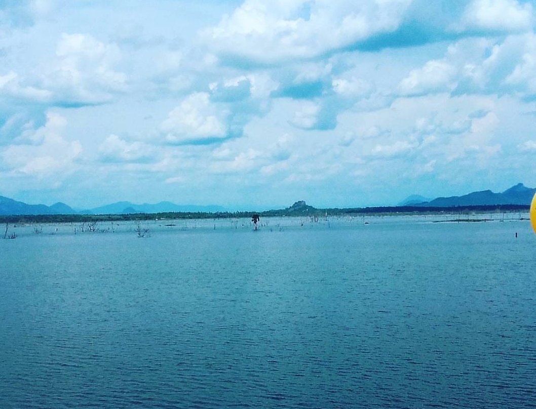 Deduru Oya Reservoir景点图片
