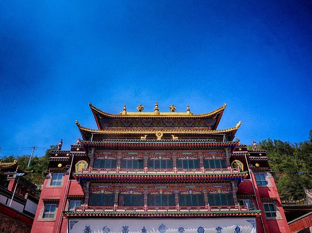 Discover China Trips景点图片