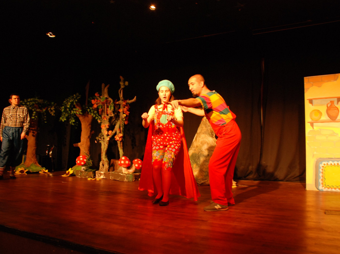 Can Tiyatrosu-安卡拉必去景点