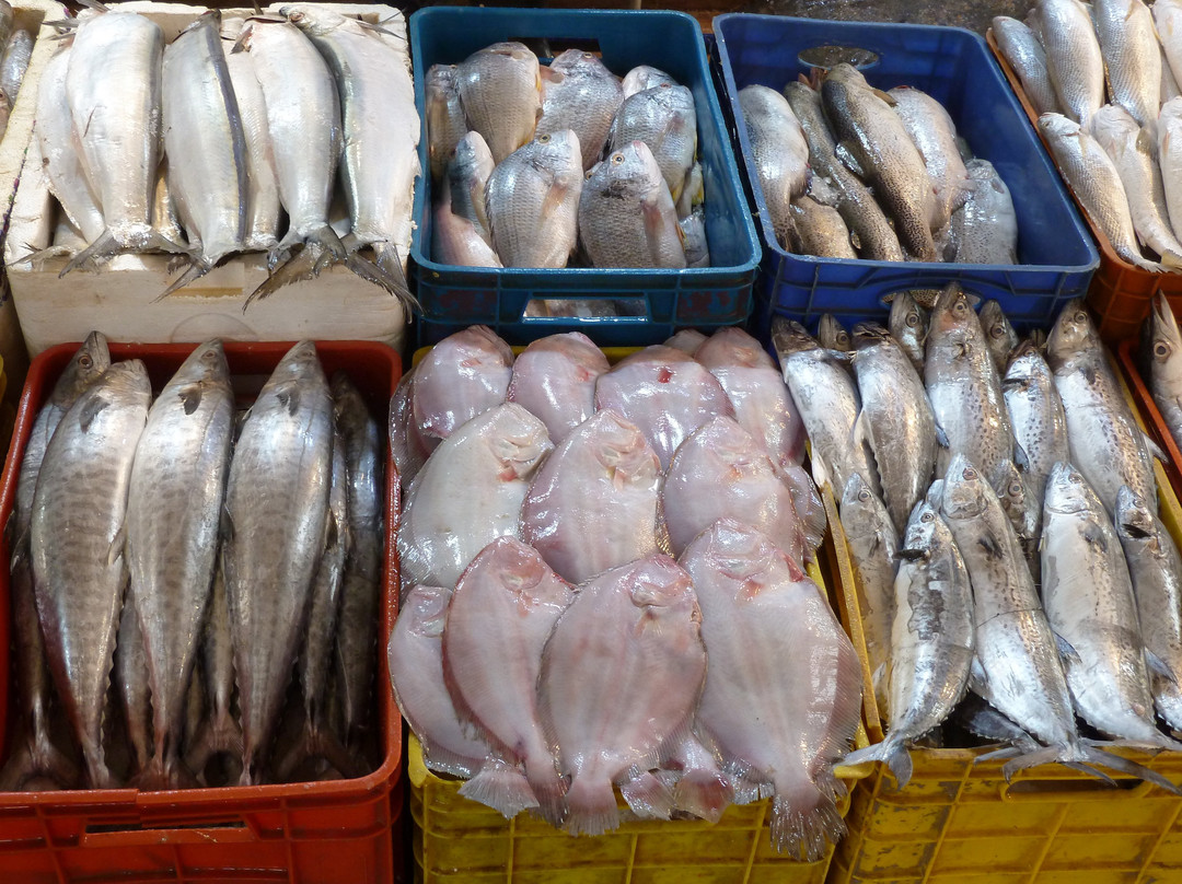 Fischmarkt und Fischereihafen Abadan-Abadan必去景点