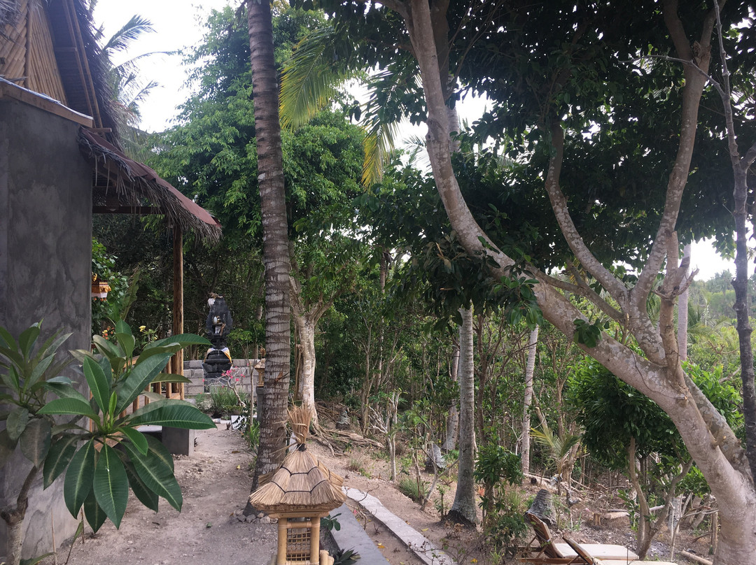 Atuh Forest Cottage主图