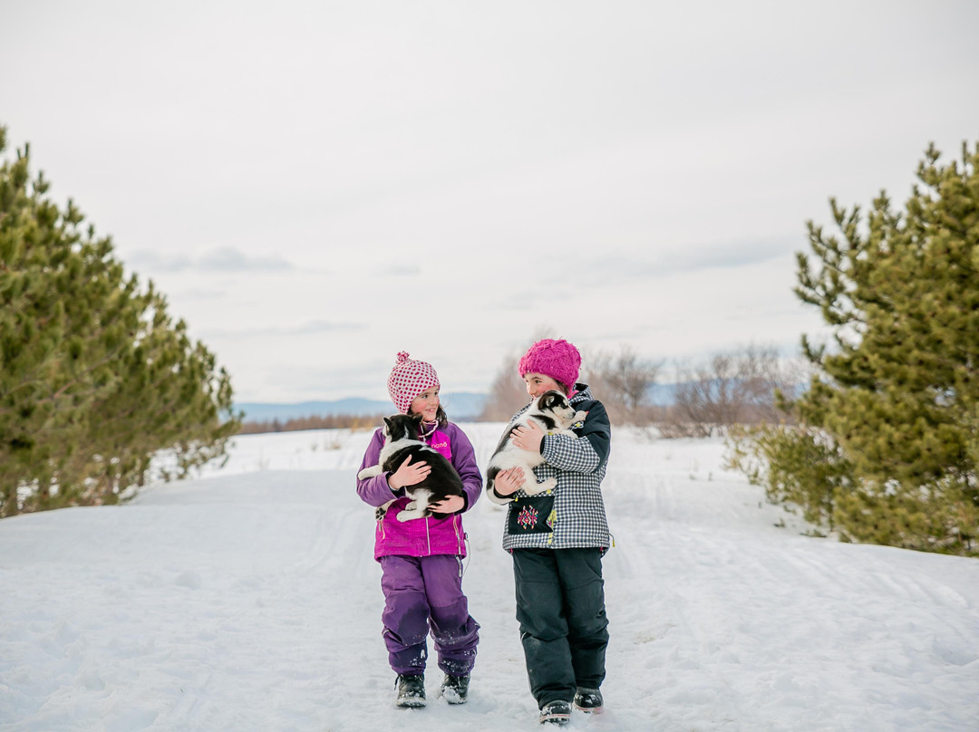 Locations Motoneige Quebec景点图片