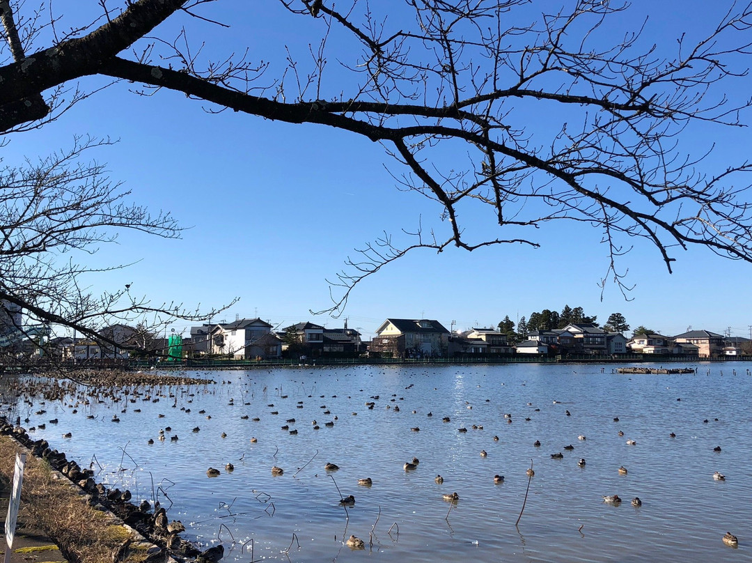 Hyokosuikin Park景点图片