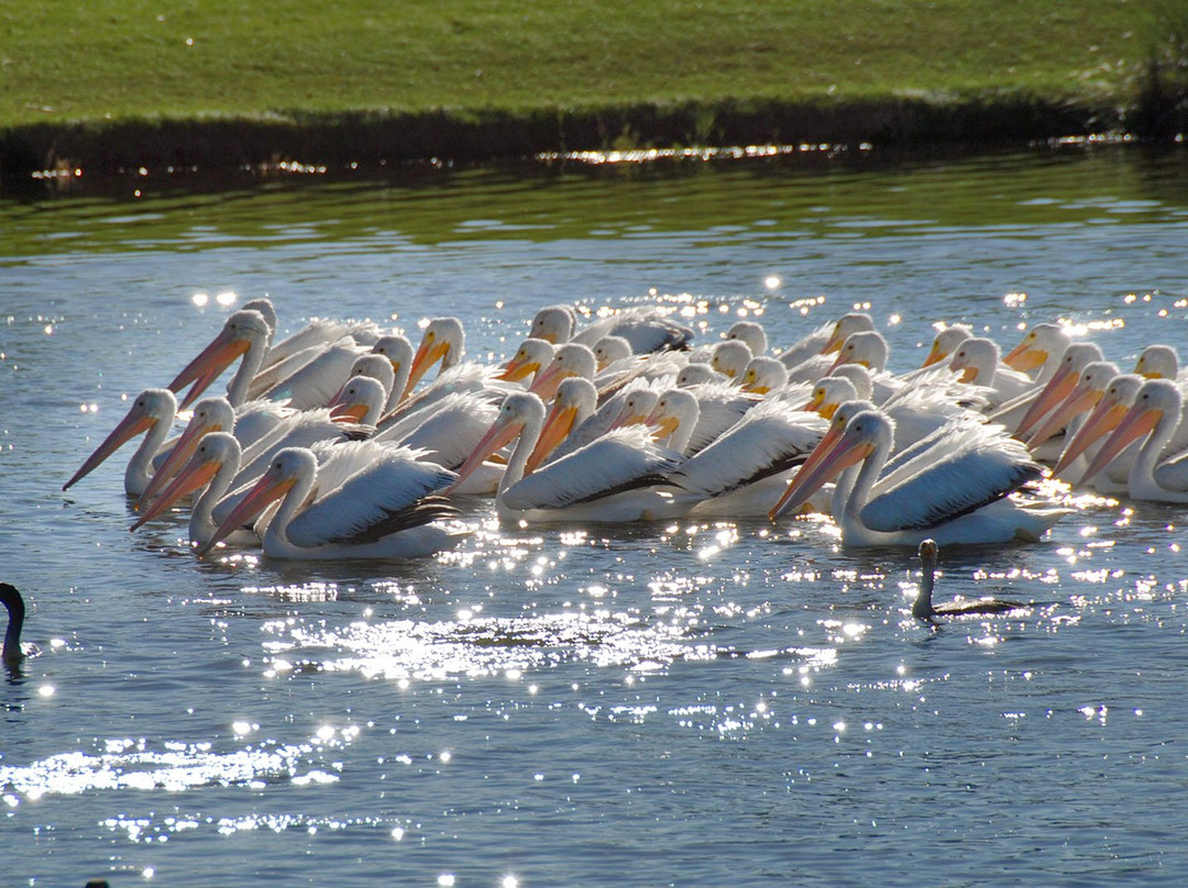 Guest House at Shell Point主图