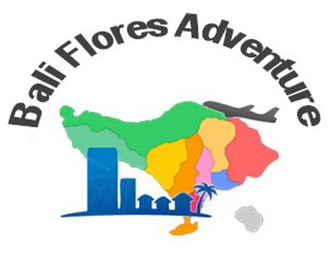 Bali Flores Adventure-沙努尔必去景点