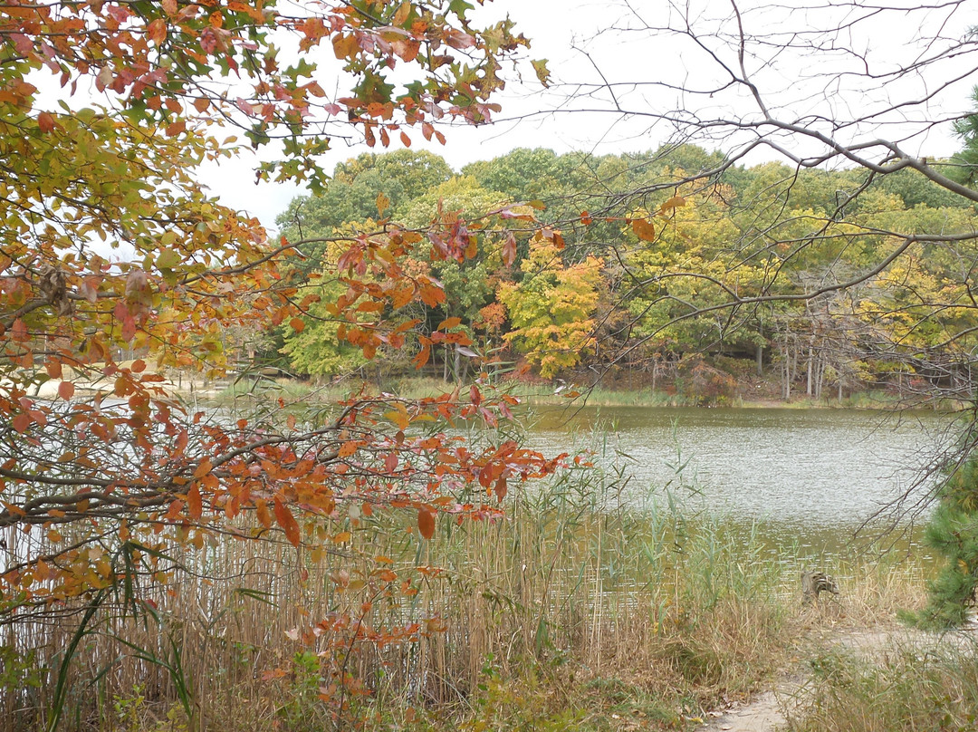 Cheesequake State Park景点图片