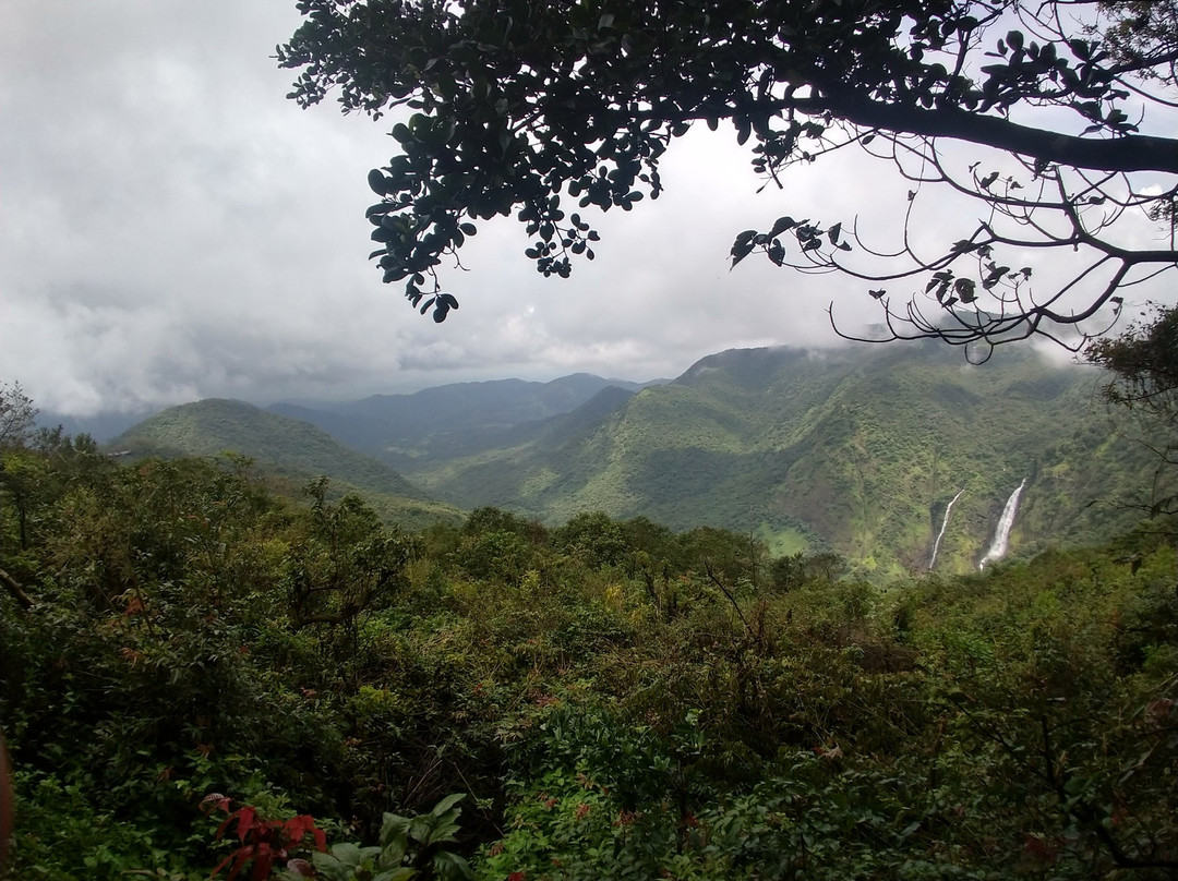 Wildernest Nature Resort主图