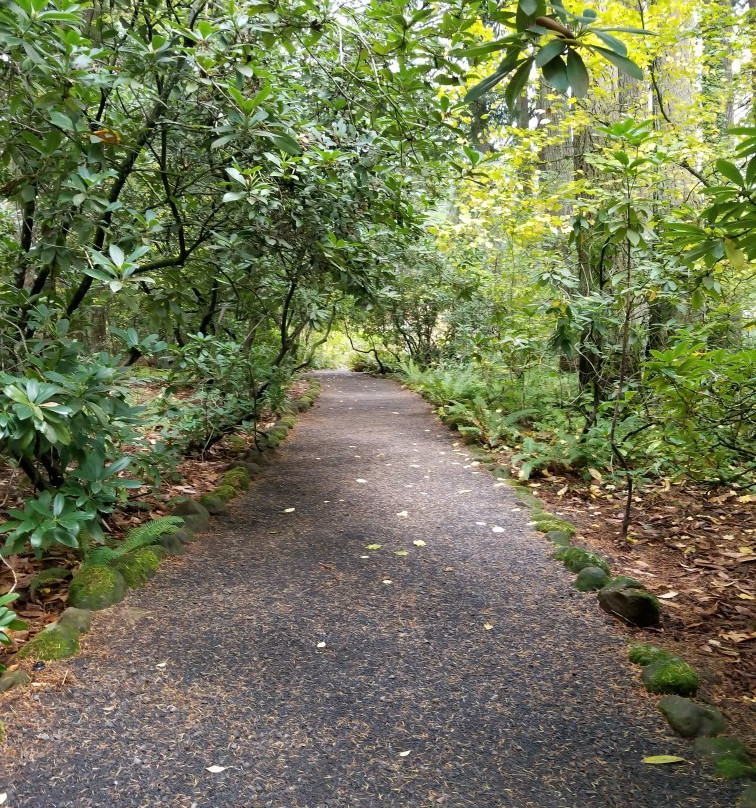 Jenkins Estate-比弗顿必去景点