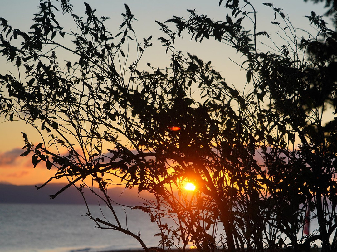 Bella's Beachfront B&B主图