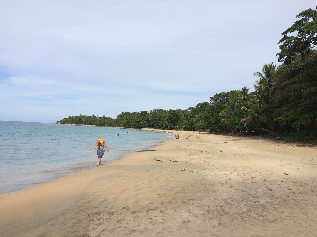 The Toucan Stay Inn主图