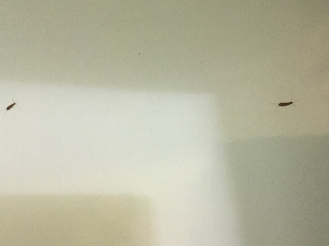 Island View Lodge主图