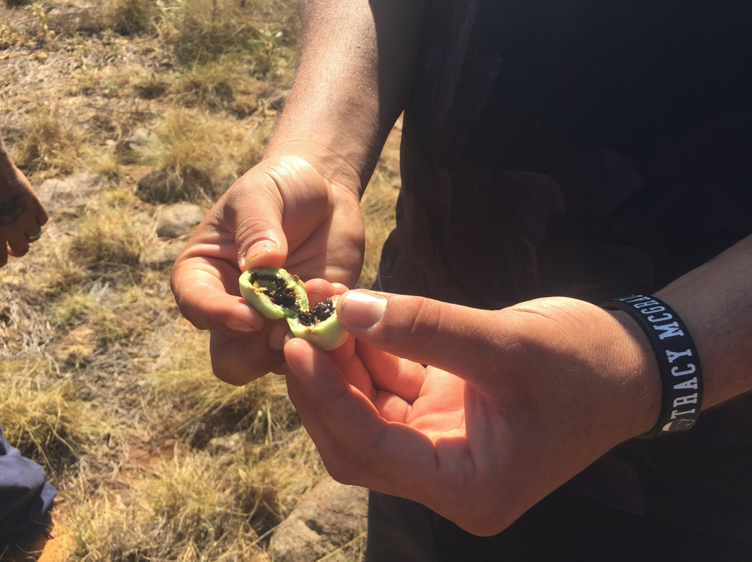 Experience Murujuga-Dampier必去景点