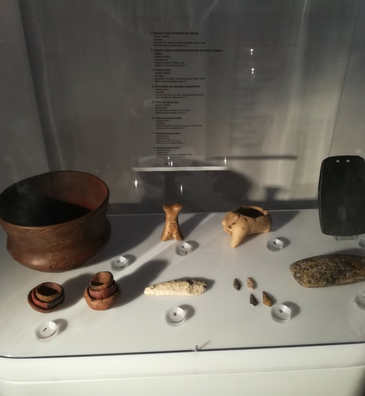 Museu de História Natural-辛特拉必去景点