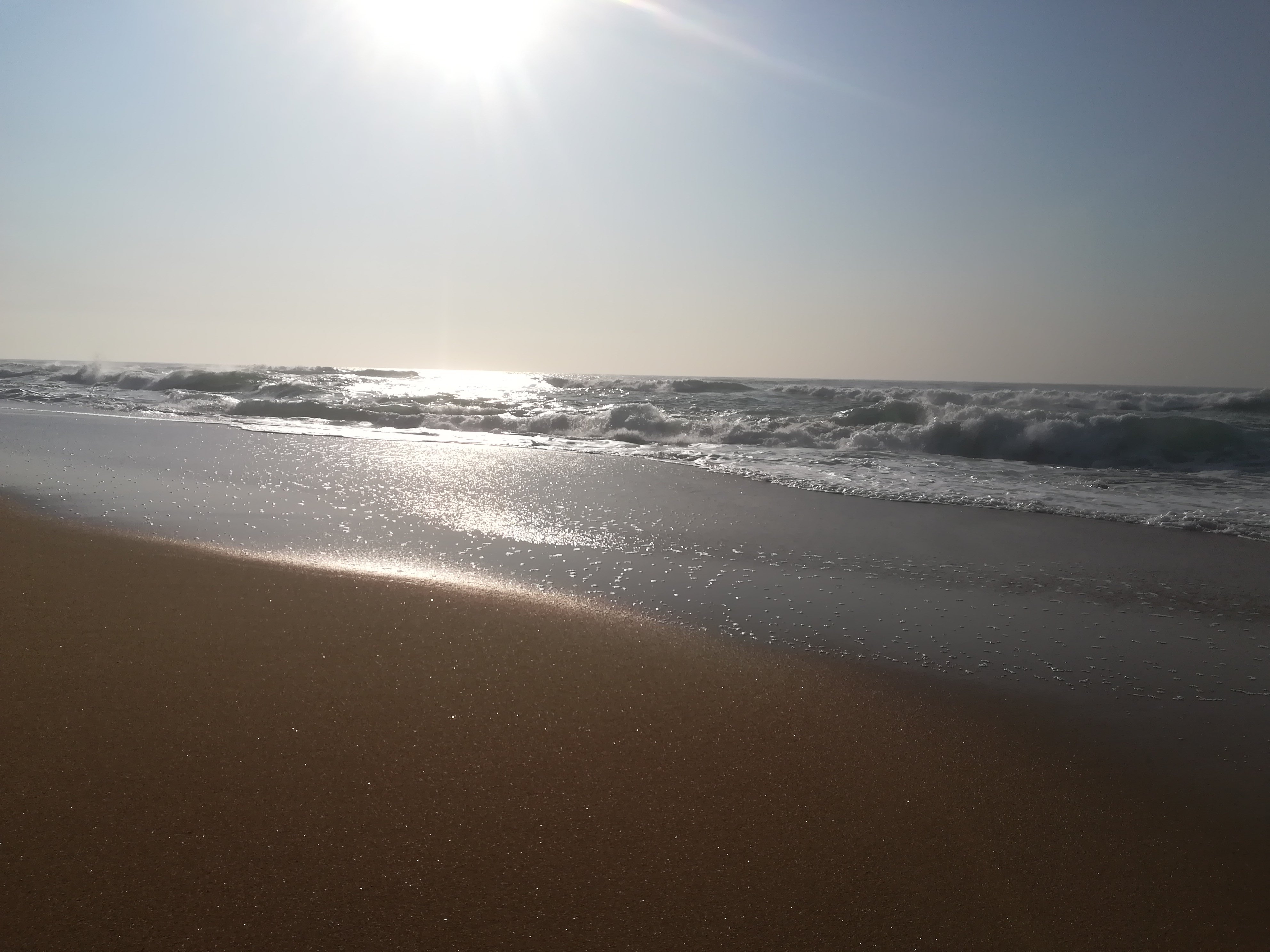 Salt Rock Hotel & Beach Resort-泳池
