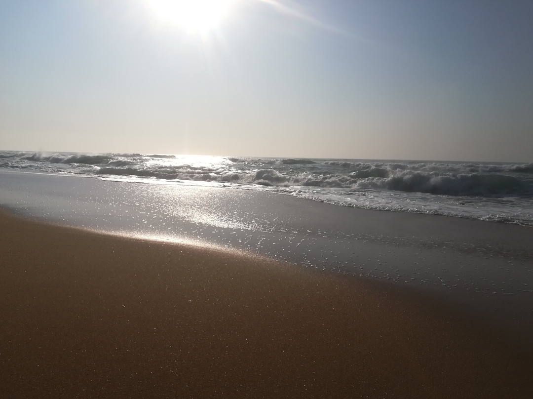 Salt Rock Hotel & Beach Resort主图