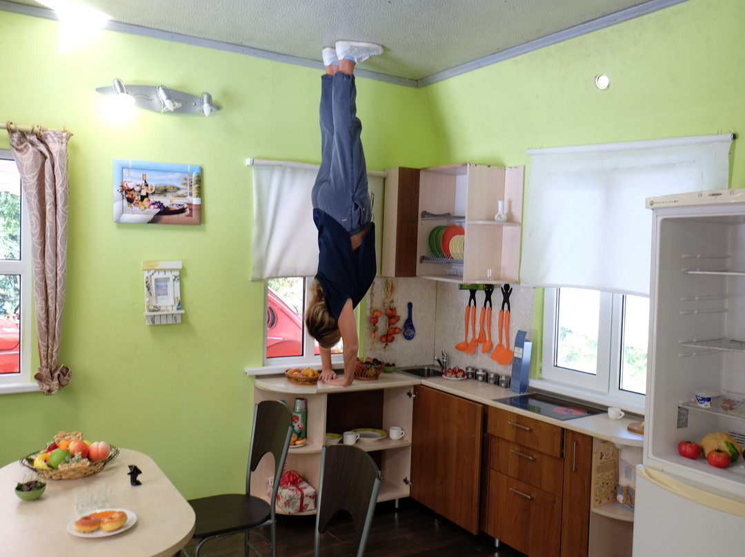 Upside Down House-Vynohradne必去景点