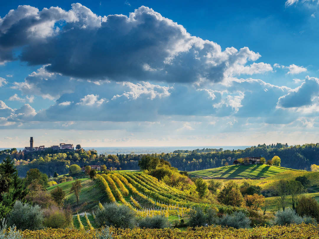 Il Colle 1978 Azienda Vitivinicola-San Pietro di Feletto必去景点