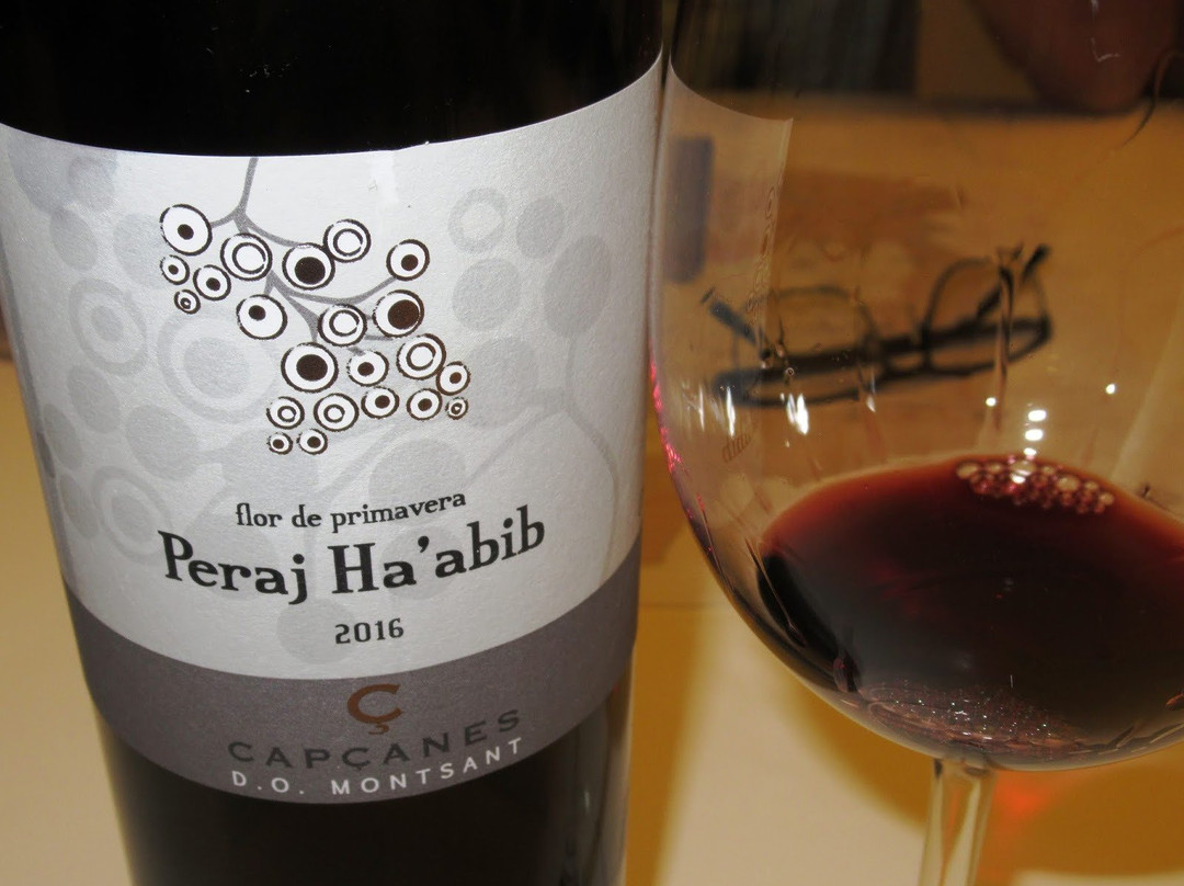 Celler De Capcanes-Capcanes必去景点