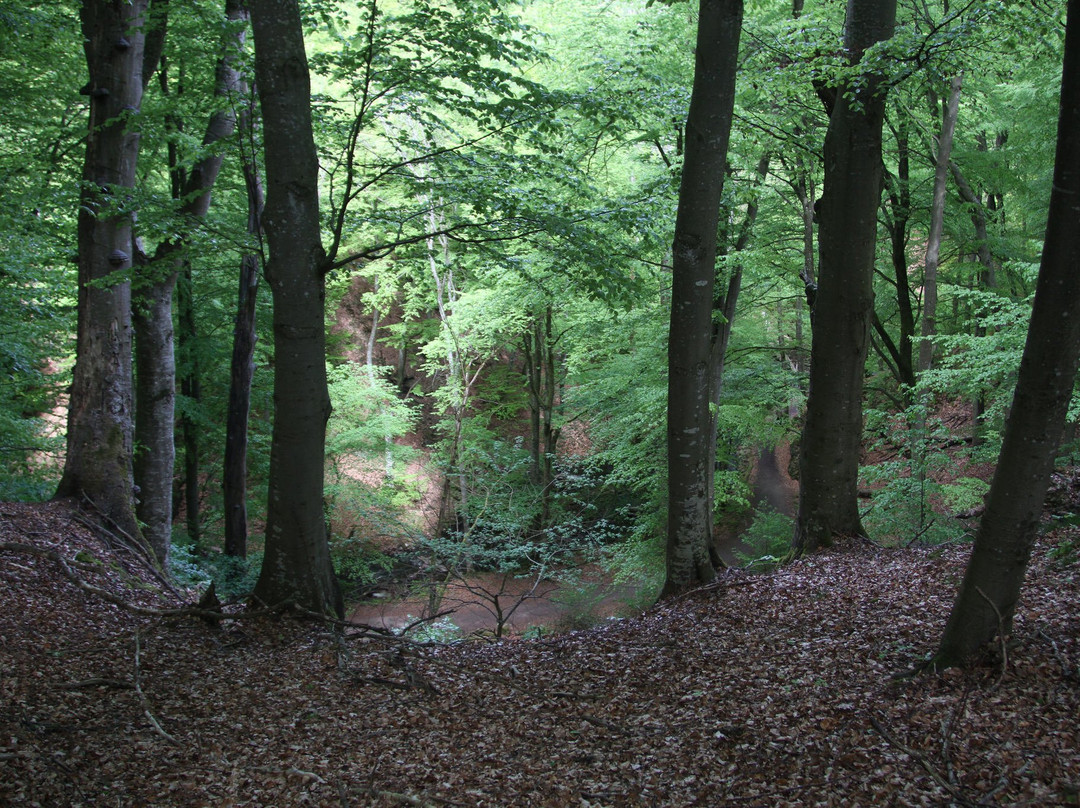The Degeberga Trail-Degeberga必去景点