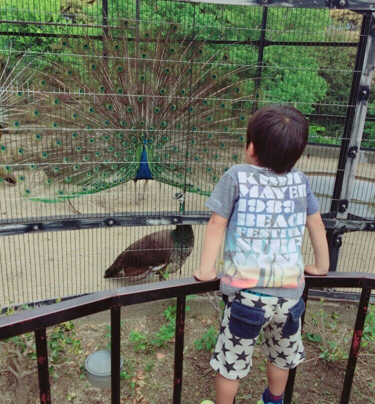 Fukuoka City Zoological Garden景点图片