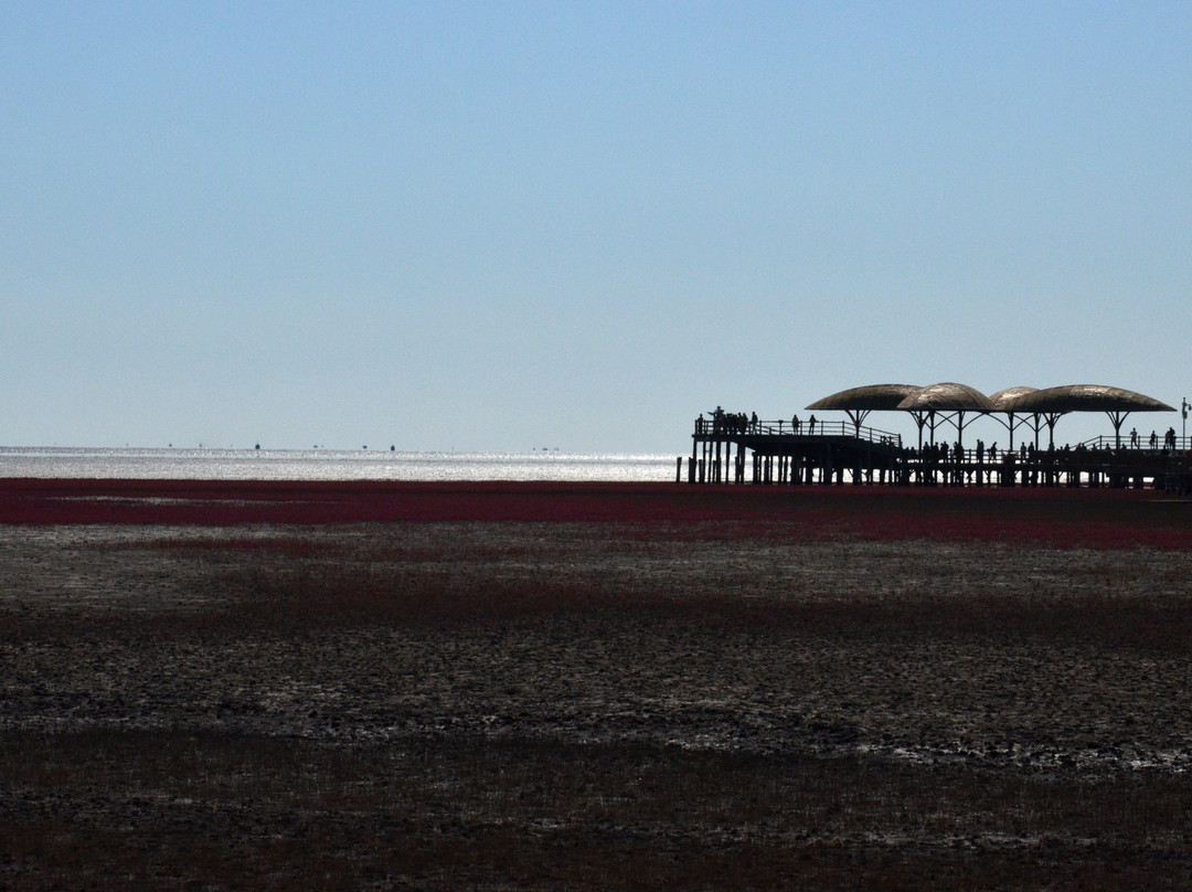 红海滩风景区景点图片
