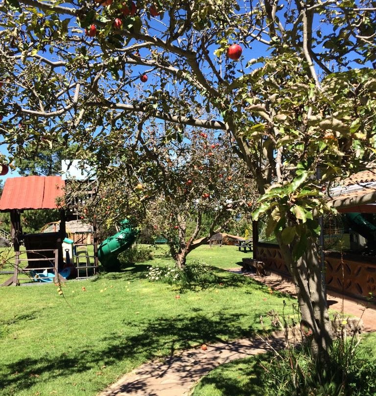 Cabanas El Refugio主图