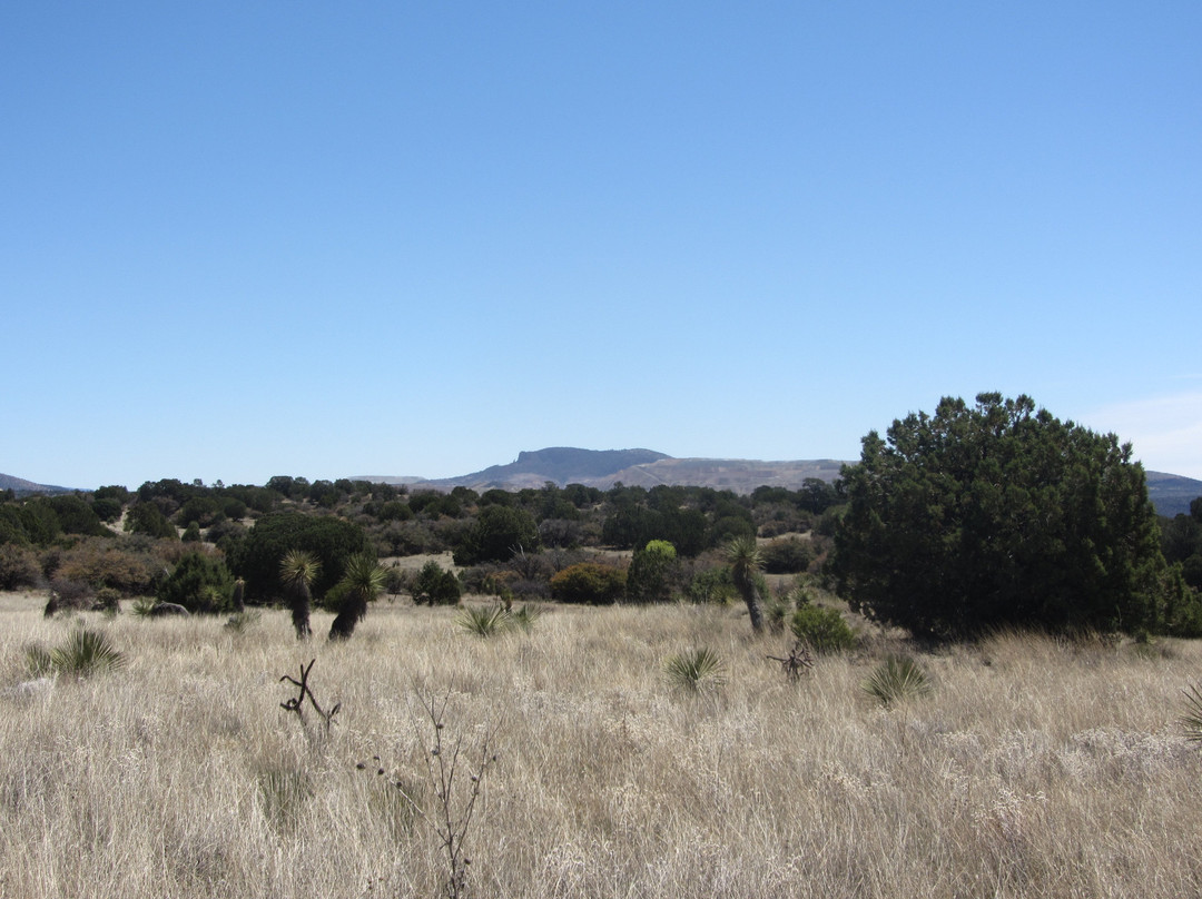 The Dragonfly Trail-Silver City必去景点