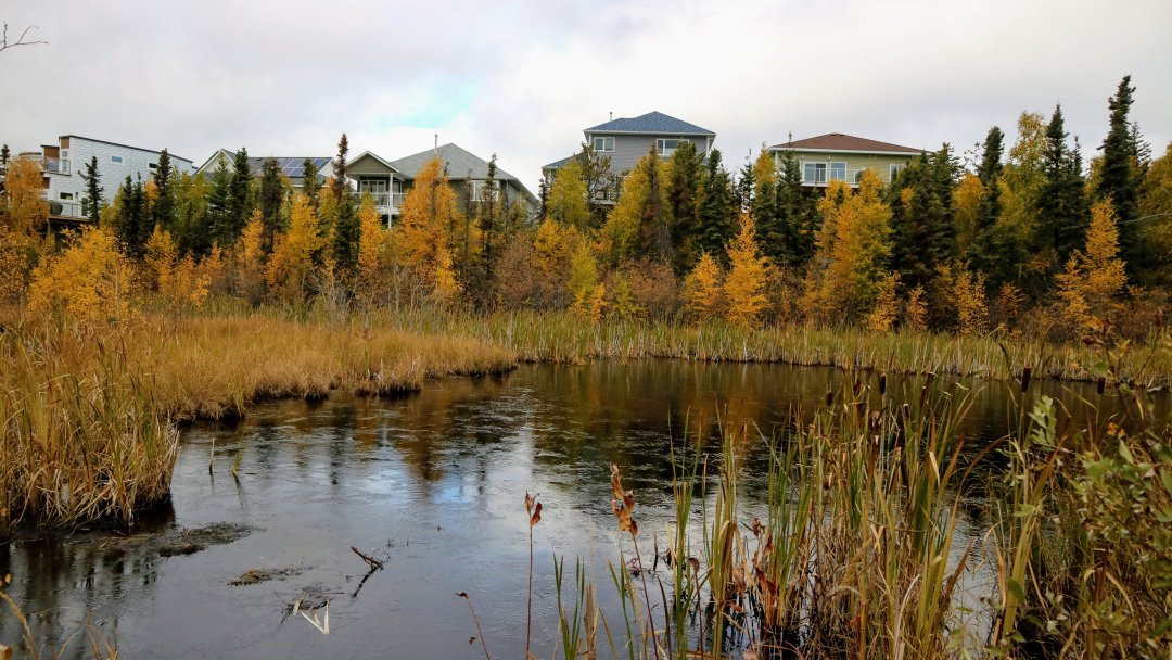 Niven Lake Trail-黄刀镇必去景点