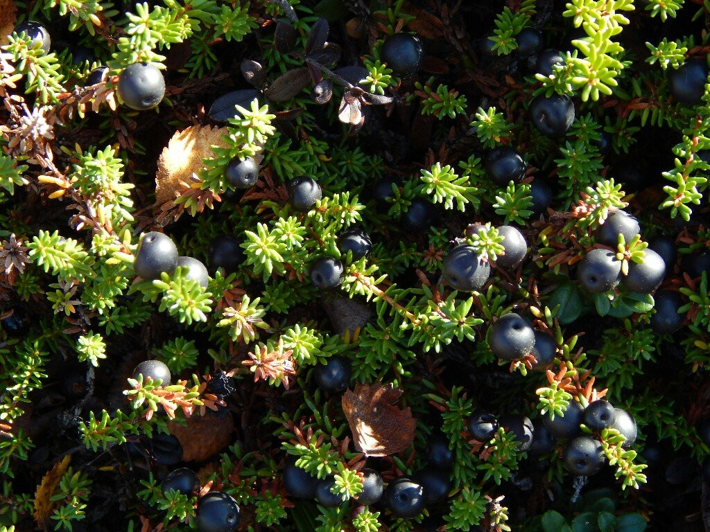 Hostel Akka Knibekaize主图