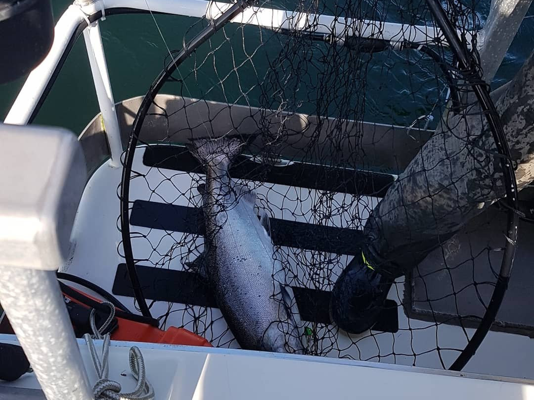 Sea West Fishing Charters景点图片