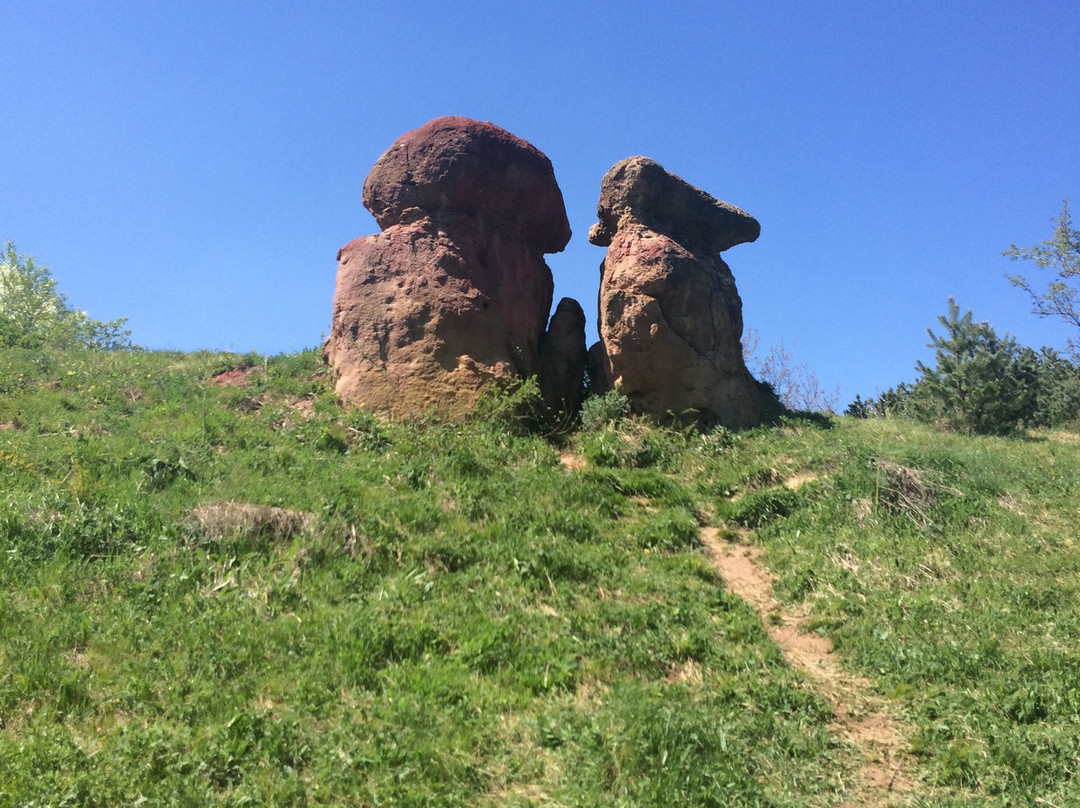 Red Giant Stone Mushrooms景点图片
