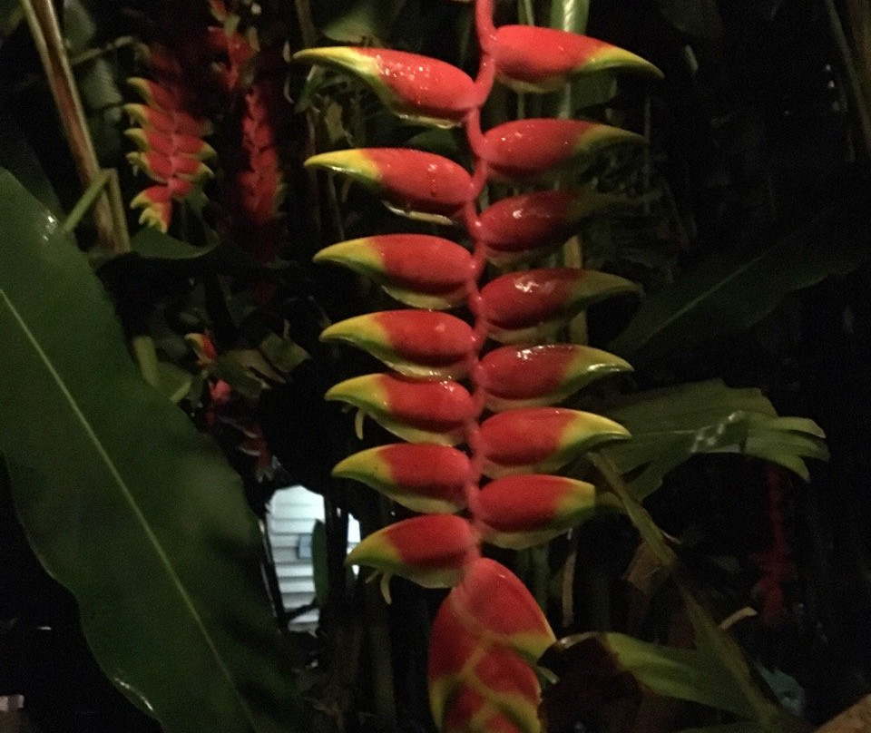 Rondo Retreat Centre主图