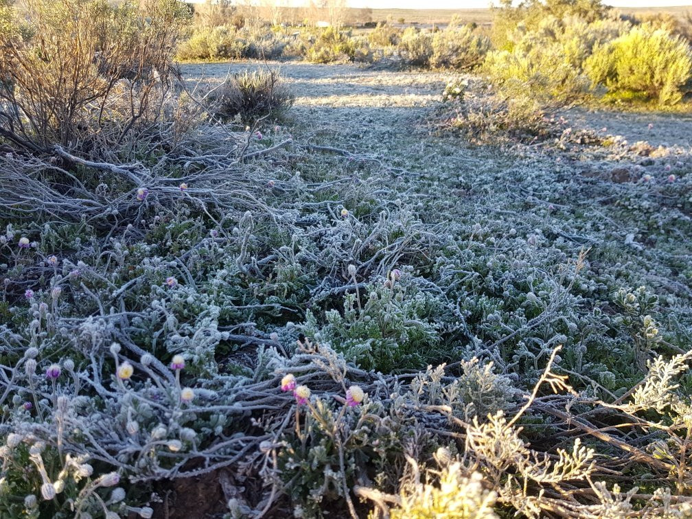Blesfontein Farm-Sutherland必去景点