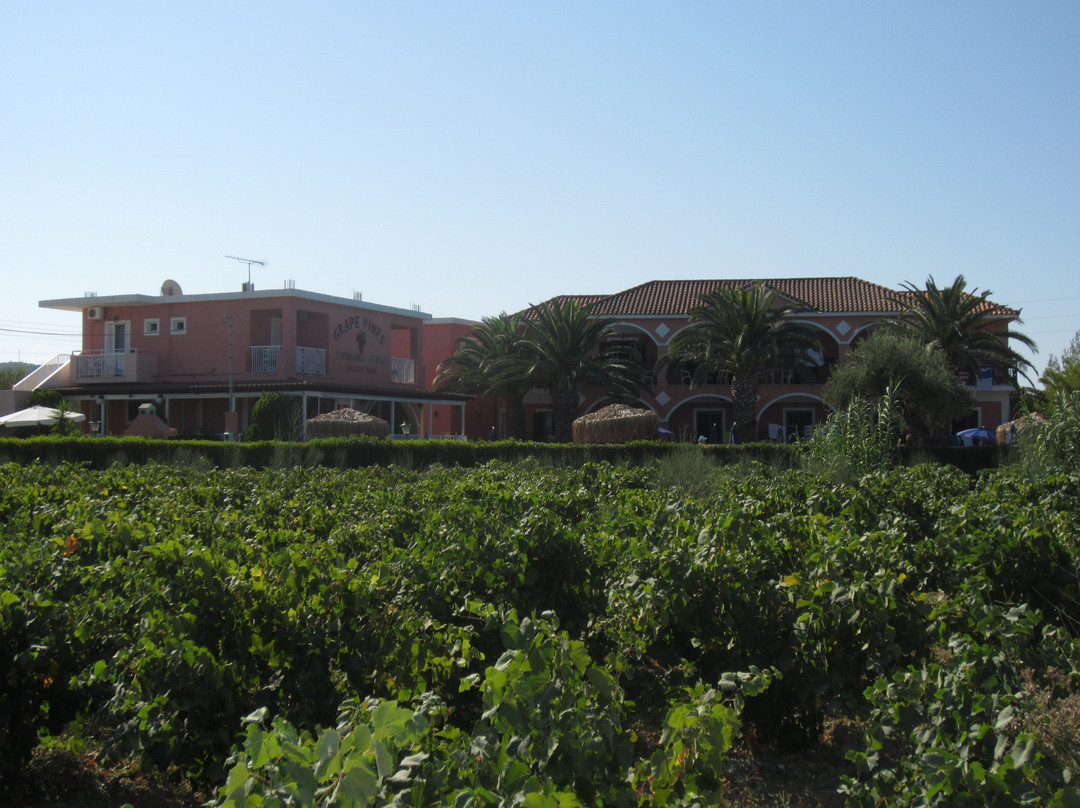 Grapevines Hotel主图