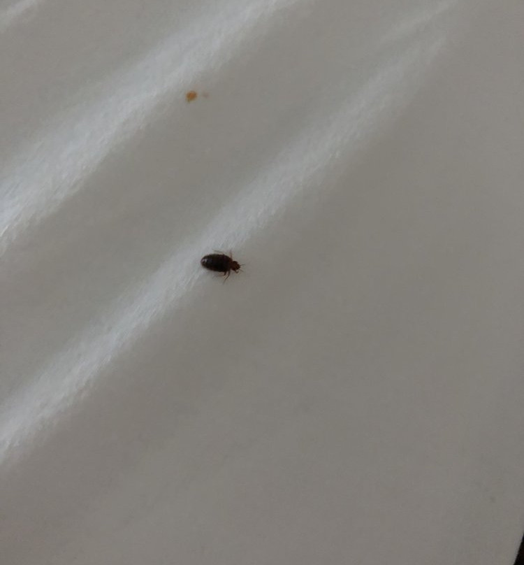 McIntosh Country Inn & Conference Centre主图