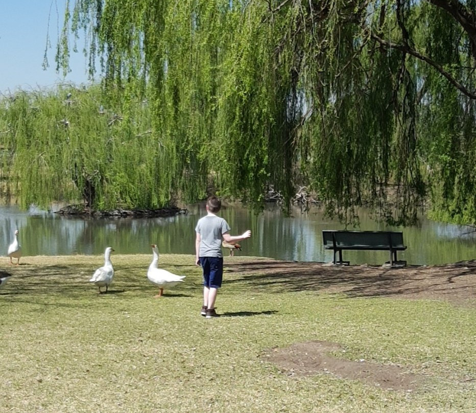 Bokkie Park景点图片