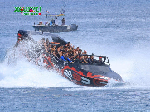 Cancun Whale Shark Tours-坎昆必去景点