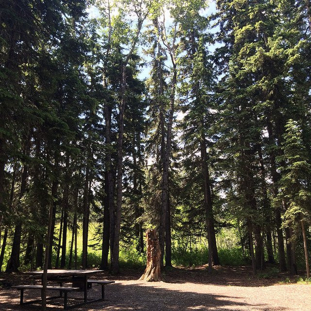 Red Lodge Provincial Park-Spruce View必去景点