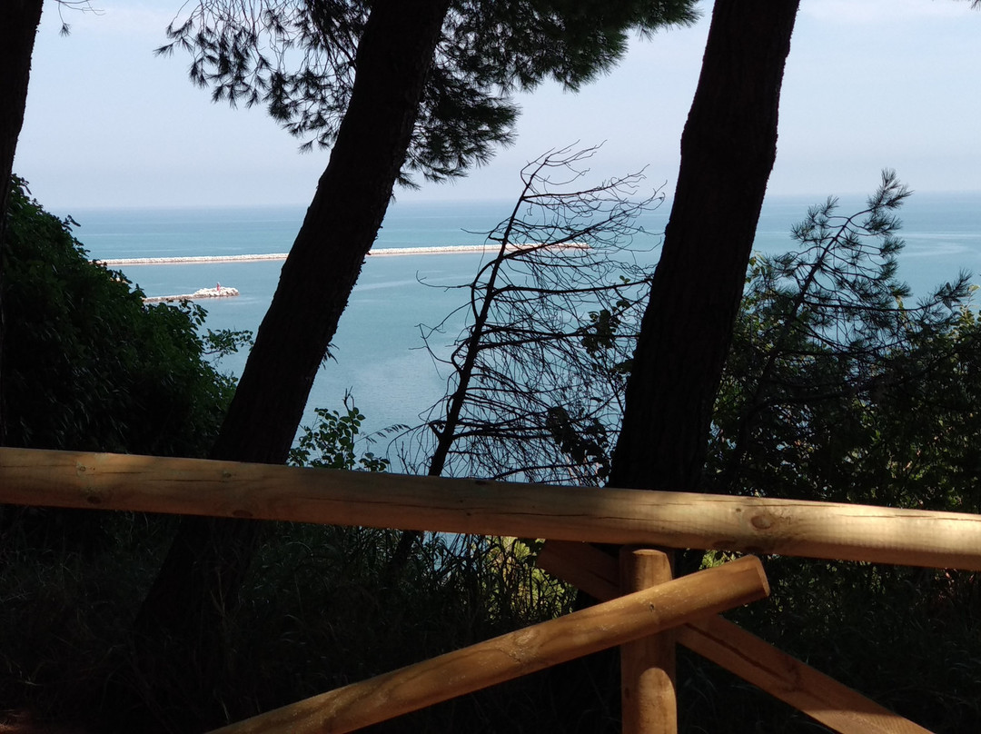 Pineta di San Donato景点图片