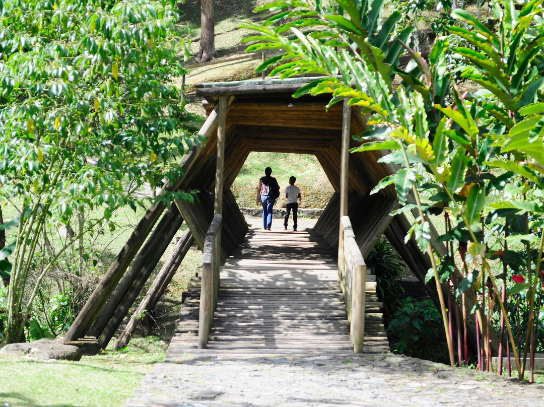 Parque Comfama la Estrella-La Estrella必去景点