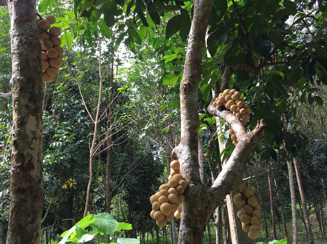 Khao Teppitak-万打坤必去景点