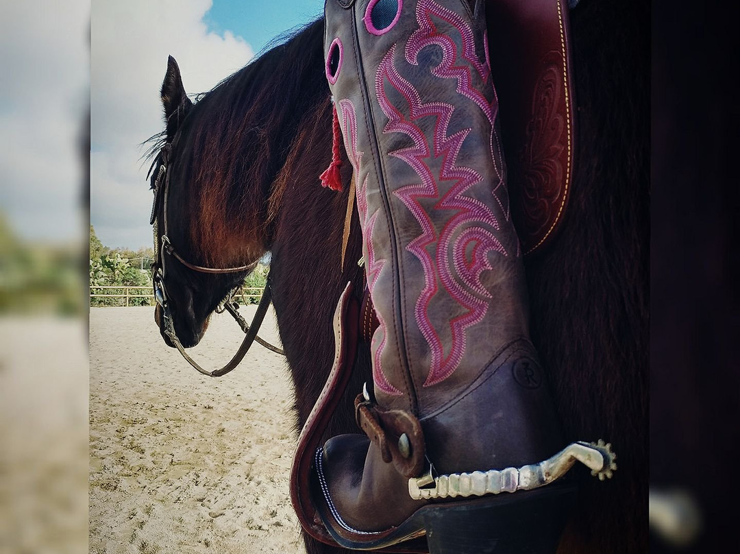 Asd Centro Ippico New Farm-阿尔盖罗必去景点