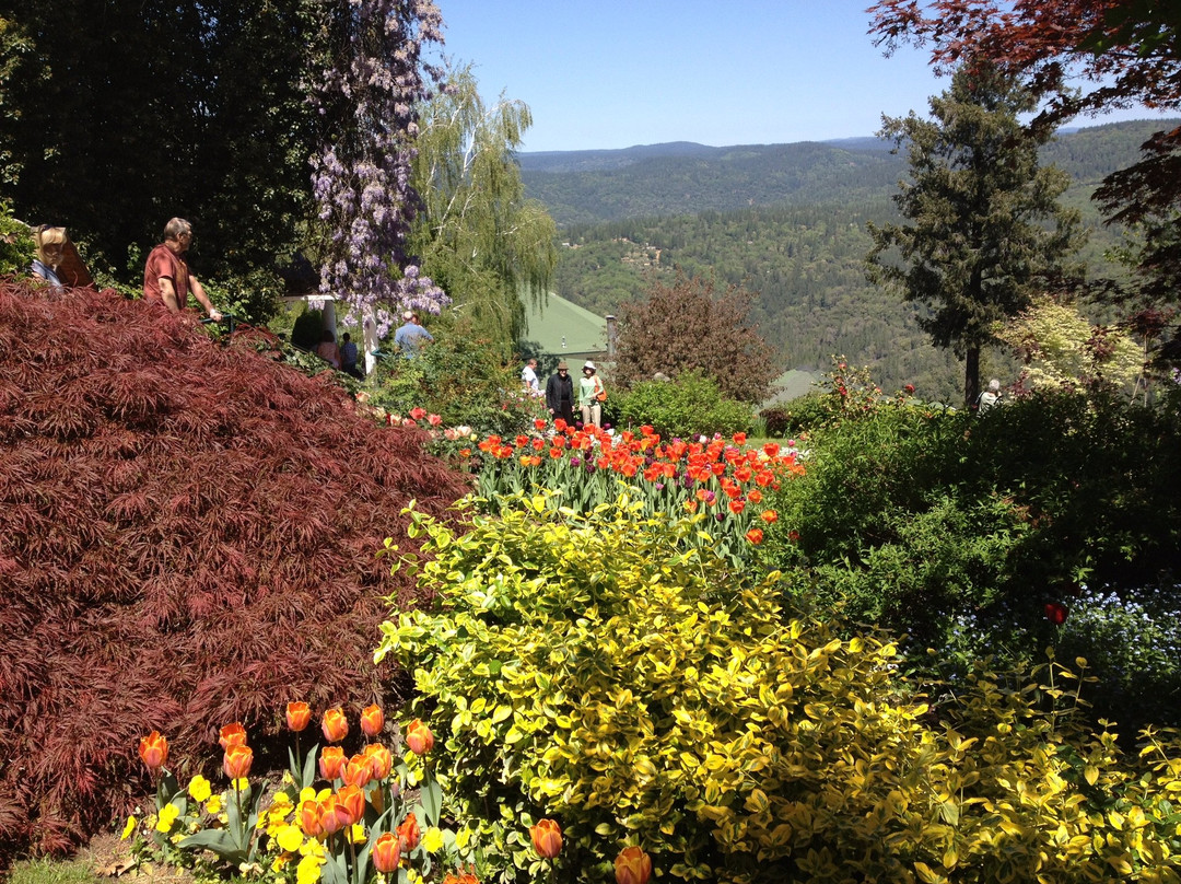 Crystal Hermitage Gardens景点图片