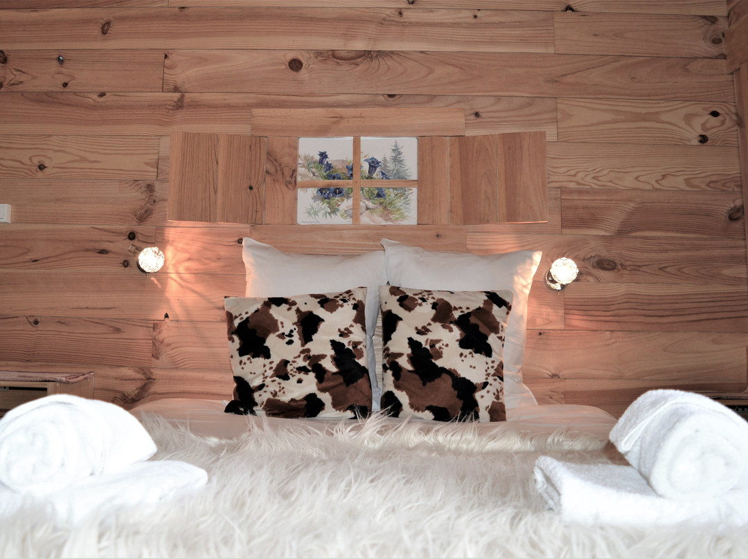 Chalet Saint Bernard主图