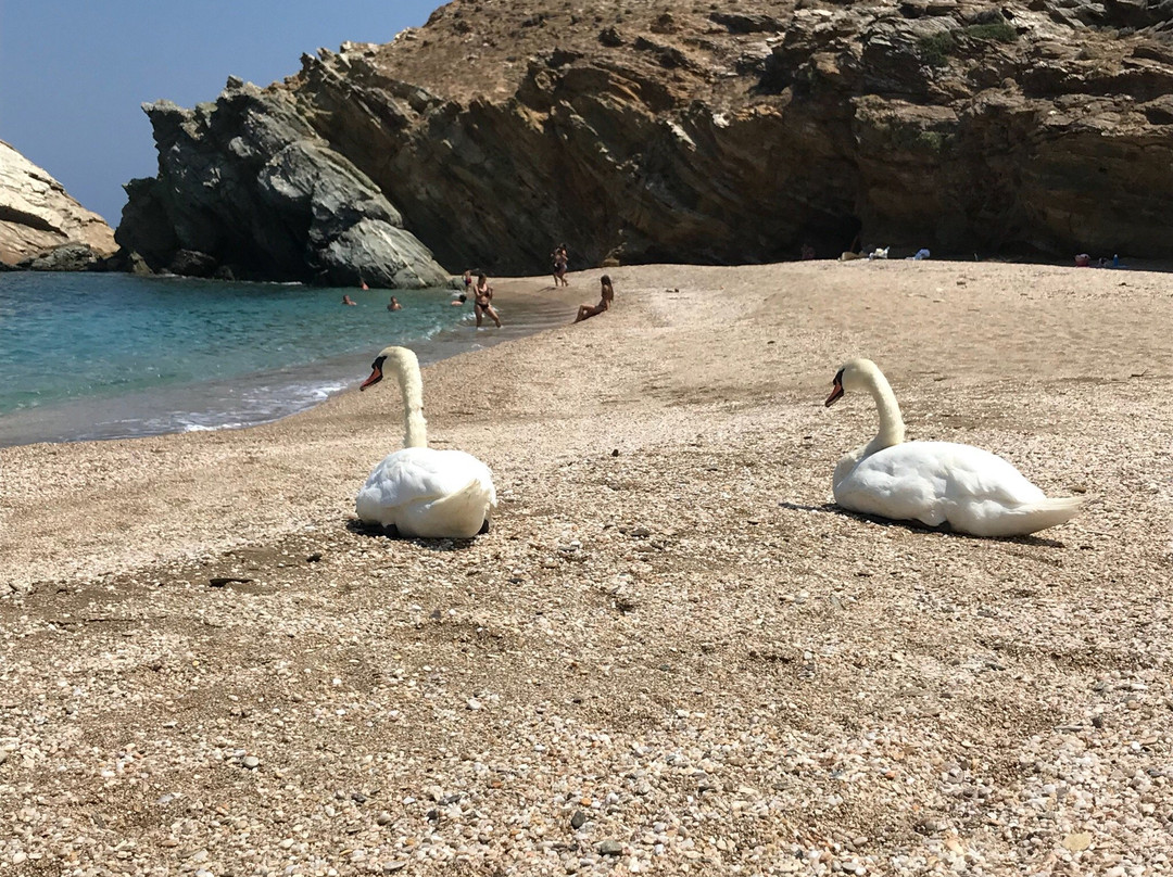 Paralia Vori-安德罗斯必去景点