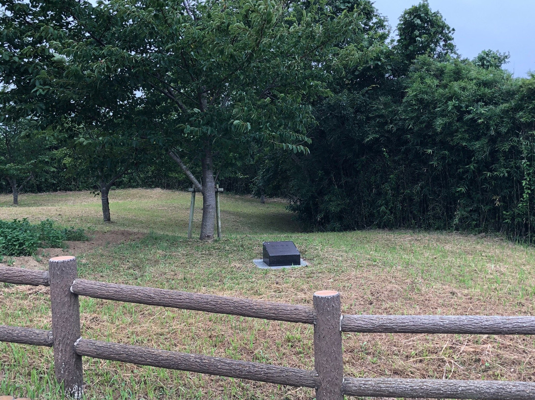 Sanrizuka Sakura no Oka-成田市必去景点